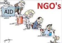 Cum au sifonat marile ONG-uri banii din donații? Cine sunt șmecherii care au transformat activismul în business?