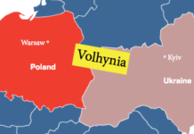 O mișcare foarte bizară a Poloniei a trecut neobservată, în contextul summit-ului de la Vilnius