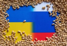 Lovitură grea pentru fermierii români! După ce a aruncat în aer podul de la Kerci, Ucraina intră în blocada grânelor