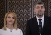 Gușă: Testul demiterii lui Firea trebuie trecut și de Ciolacu, dar mai ales de către PSD! Partid politic sau grup infracțional organizat?