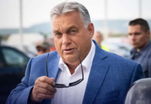 Petrișor Peiu: Viktor Orban nu a admis primirea României în OCDE pentru a păstra un ascendent economic în fața noastră. În ciuda acestui fapt, România a ajuns din urmă Ungaria din punct de vedere al performantei economice.