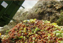 Ghilezan: Românii au devenit găinile de jumulit ale corporațiilor din energie și alimentație. Băsescu ne-a predat, restul au continuat!