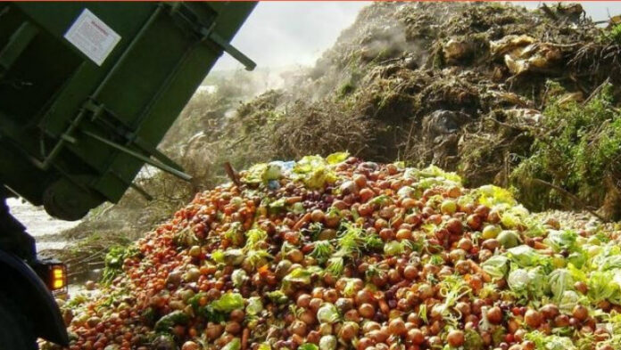 Ghilezan: Românii au devenit găinile de jumulit ale corporațiilor din energie și alimentație. Băsescu ne-a predat, restul au continuat!