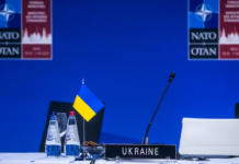 Ultimatumul NATO pentru Ucraina: ”Învingeți înainte de iarnă sau muriți”