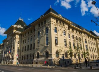 Sarmiza Andronic: Nu votez cu niciunul dintre candidații așa-zis suveraniști, Burcea, Teodorovici sau Anca Alexandrescu, dar nici cu Drulă, Ciucu sau Ciceală. Mai reflectez referitor la Băluță!