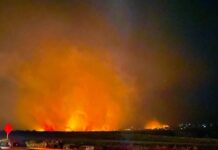 BOMBĂ: Marea Resetare și Marea Ipocrizie din Maui – cum profită șmecherii de o tragedie