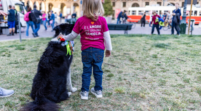 Klaus Iohannis mai taie puțin din coada vulpii