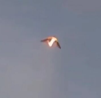 Andrei Gușă: În momentul acesta România este o țară care pierde războiul împotriva drogurilor…