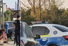 Cazul de la 2 Mai demonstrează interlopizarea României