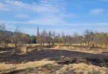 PRIMARUL ROBERT NEGOIȚĂ, SCRISOARE DESCHISĂ CĂTRE PRIMARUL CAPITALEI