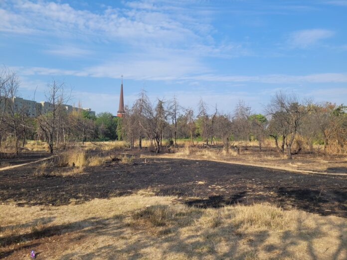 PRIMARUL ROBERT NEGOIȚĂ, SCRISOARE DESCHISĂ CĂTRE PRIMARUL CAPITALEI