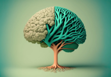 Caută inteligența emoțională și nu vei rătăci!