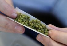 Purice: Soluția contra DROGANGELII este ca Parlamentul să voteze o lege ce face ilegal consumul de droguri! Altfel România poate considera c-a pierdut lupta cu drogurile.