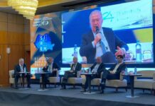 Sterian (Transgaz): Prevăd că, la nivelul anilor 2027-2028, România va avea nevoie, în afară de gazele din Marea Neagră, de 4 -5 miliarde mc