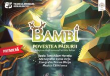 Un nou spectacol în stagiunea acestui an la Teatrul Muzical Ambasadorii!