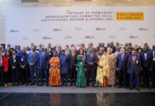 Uniunea Africană devine membru permanent al G20: implicațiile pentru BRICS +