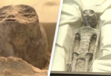 Au ajuns extratereștrii în Parlamentul Mexicului – imagini de noaptea minții