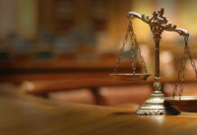 Dosare uluitoare mușamalizate de procurori și infractori protejați de justiție – mafia drogălăilor și a hoților de lemne