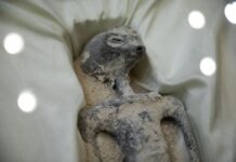 Corpurile extraterestre prezentate în fața Congresului au fost analizate de către oamenii de știință: par autentice și nu au nicio legătură cu ființele umane VIDEO