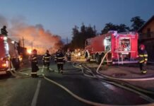 Popa: La Crevedia s-a văzut doar un vârf al rețelei infracționale protejate de stat