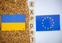 S-a trezit patriotismul în europarlamentari. Tăcere totală pe drepturile minorităților…