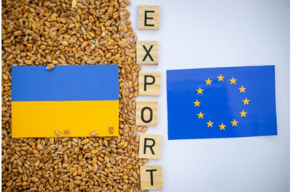 S-a trezit patriotismul în europarlamentari. Tăcere totală pe drepturile minorităților…