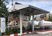 Petrișor Peiu: Firma clanului din Caracal are afaceri de 1,2 miliarde de lei!