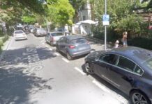 O stradă din Cluj va purta numele regretatului artist Dumitru Fărcaș. Inițiativa aparține unui profesor universitar din SUA