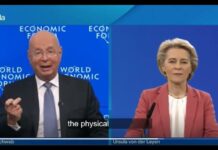 Ursula cere o aplicație de Identitate Digitala care să stocheze totul: date personale, administrative, medicale, de card, permis de conducere etc