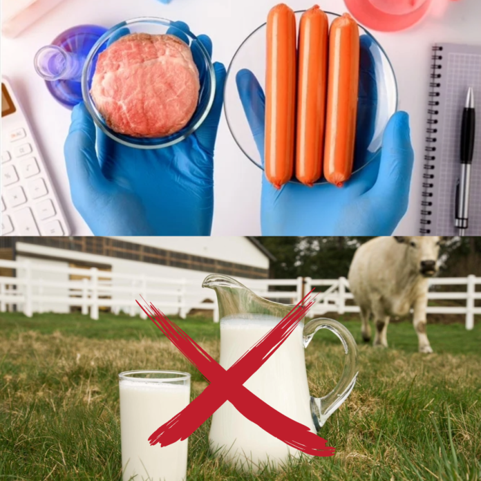 16 orașe din România au aderat la structura Cities Climate Leadership Group (C40) ce își propune reducerea la 0 a consumului de carne, lactate și a numărului de mașini personale