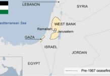 Gaza contra Palestina