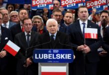 Lecție de gospodărie poloneză: cum să crești iepuri electorali