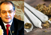 Scurt istoric despre cum a început Bubuiala Drogurilor în România și ce preocupări are noua generație