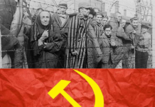 Spânu: Materiile impuse elevilor despre istoria evreilor, romilor, comunismului, le vor bulversa și mai tare gândirea! În cazul istoriei evreilor e vorba despre interese politice de doi bani.