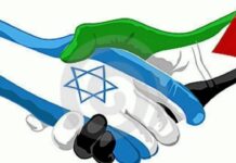 Purice: Dacă Israelul nu-și blochează fanaticii, s-ar putea prăbuși!