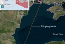 Suntem sclavii lor: România va dubla capacitatea de tranzit pentru cerealele din Ucraina