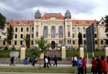 Încă 8 polițiști arestați pentru corupție și consilierul UDMR pedofil