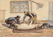 Petrișor Peiu: Legea Porcului este împotriva agricultorilor români mici și mijlocii, împotriva tradiției, dar în interesul multinaționalelor! Cei care au impus această măsură încurajează în același timp lanțul scurt de aprovizionare, este absurd!