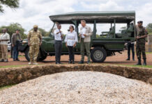 Purice: Iohannis e trimis în vilegiatură ca să nu încurce treburile prin țară!