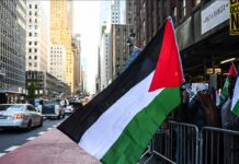 Gaza, contra Palestina plus Gaza