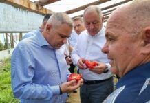 Pierderea unor fonduri UE de peste un miliard de euro: Ministrul Agriculturii Florin Barbu a uitat sa efectueze plata catre fermieri!