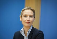 Alianța pentru Germania: Opoziție controlată