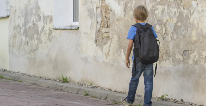 În 7 dintre cele 8 regiuni de dezvoltare din România, mai puțin de 25% dintre cetățeni au studii superioare