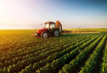 Agricultorii români o duc rău (și) din cauza faptului că nu vor să se unească, pentru că fiecare dintre ei are propriile interese