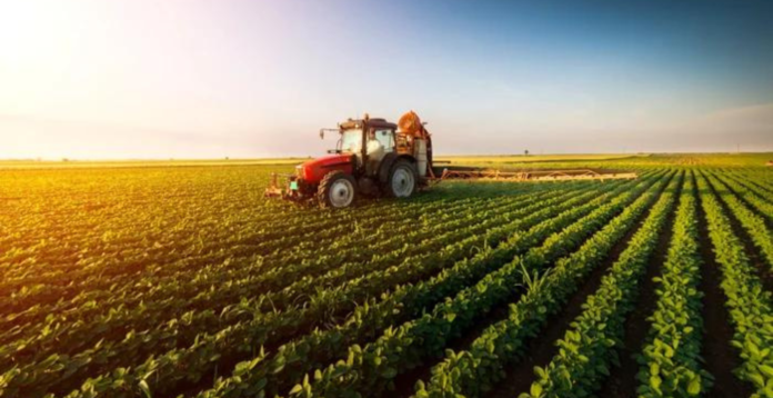 Agricultorii români o duc rău (și) din cauza faptului că nu vor să se unească, pentru că fiecare dintre ei are propriile interese