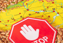 Războiul cerealelor între PSD și PNL