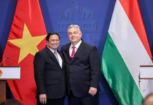 Diplomația bambusului, între Budapesta și București