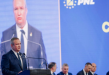 Șerbănescu: Geoană – candidat PNL, bomboana pe coliva partidului distrus deja!