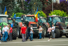 Petrișor Peiu: Criza agriculturii din estul Europei este cauzată de competiția neloială creată de importurile din Ucraina, respectiv de inflație