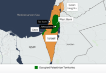 Soluția celor două state